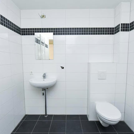 Appartement, Zaandam