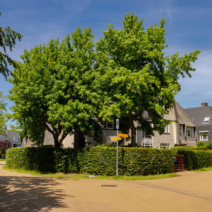 Vrijstaande villa, Bloemendaal