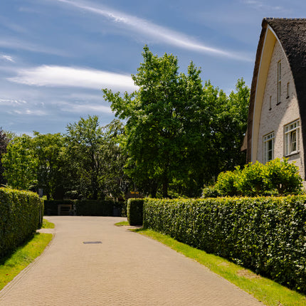 Vrijstaande villa, Bloemendaal