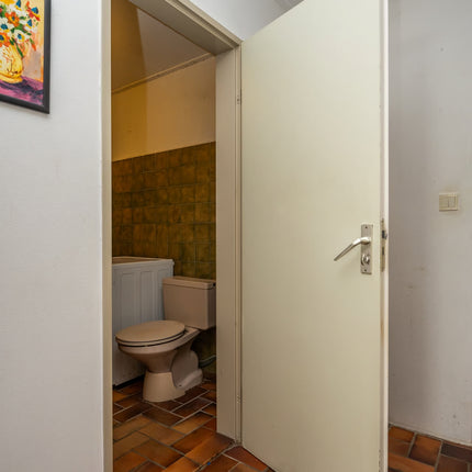 Appartement, De Cocksdorp
