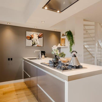 Moderne nieuwbouwwoning met stijlvolle afwerking in Haarlem